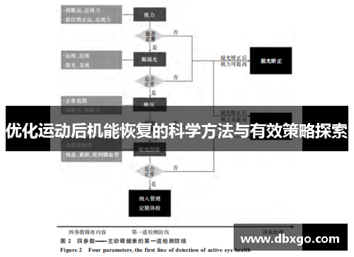 优化运动后机能恢复的科学方法与有效策略探索