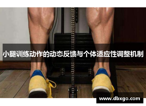 小腿训练动作的动态反馈与个体适应性调整机制